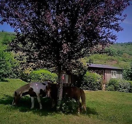 La Fregiere Chalets Clairvaux-d'Aveyron Eksteriør bilde