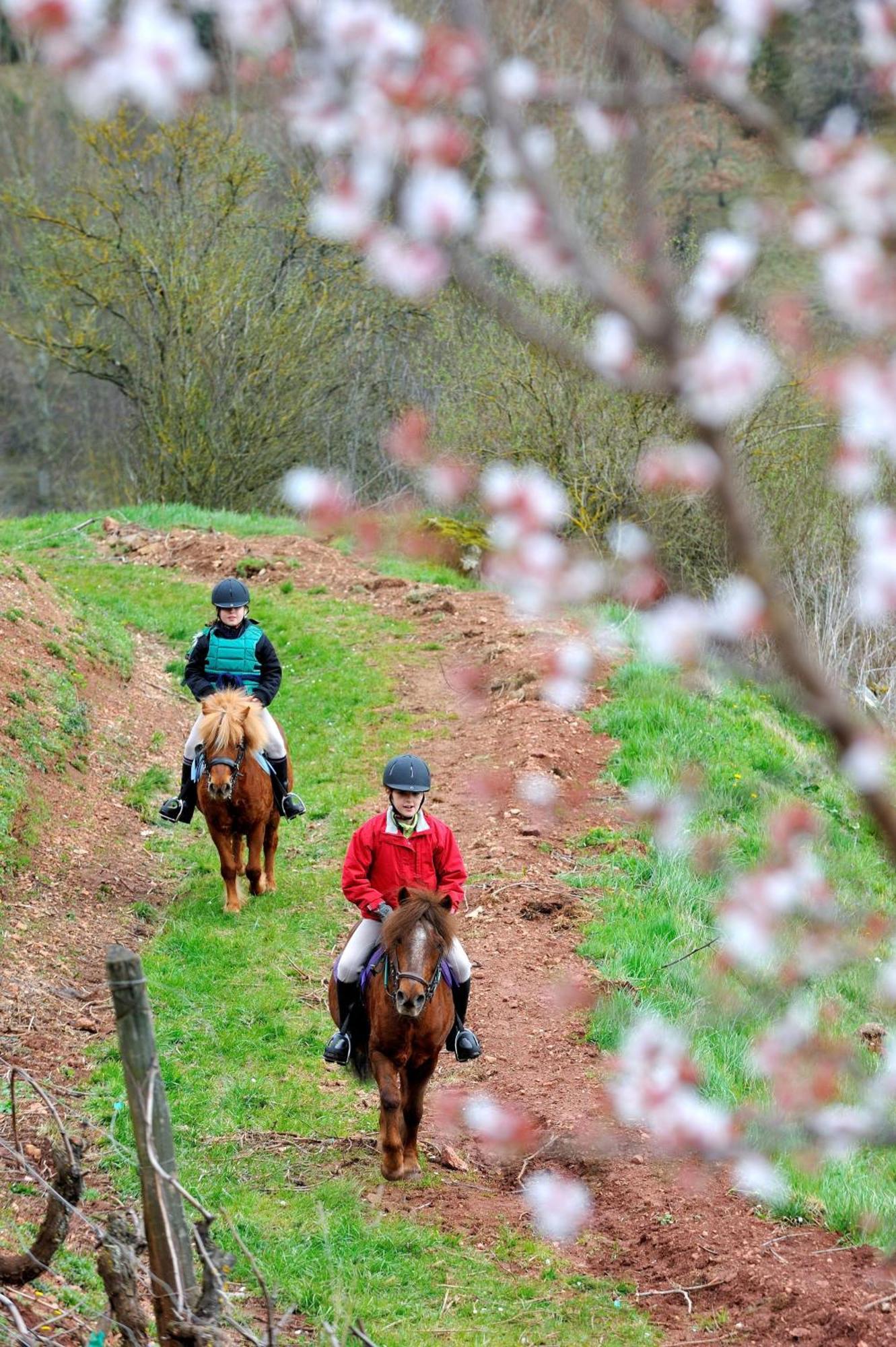 La Fregiere Chalets Clairvaux-d'Aveyron Eksteriør bilde