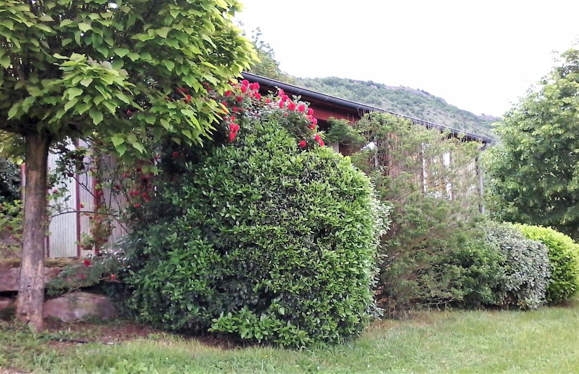 La Fregiere Chalets Clairvaux-d'Aveyron Eksteriør bilde