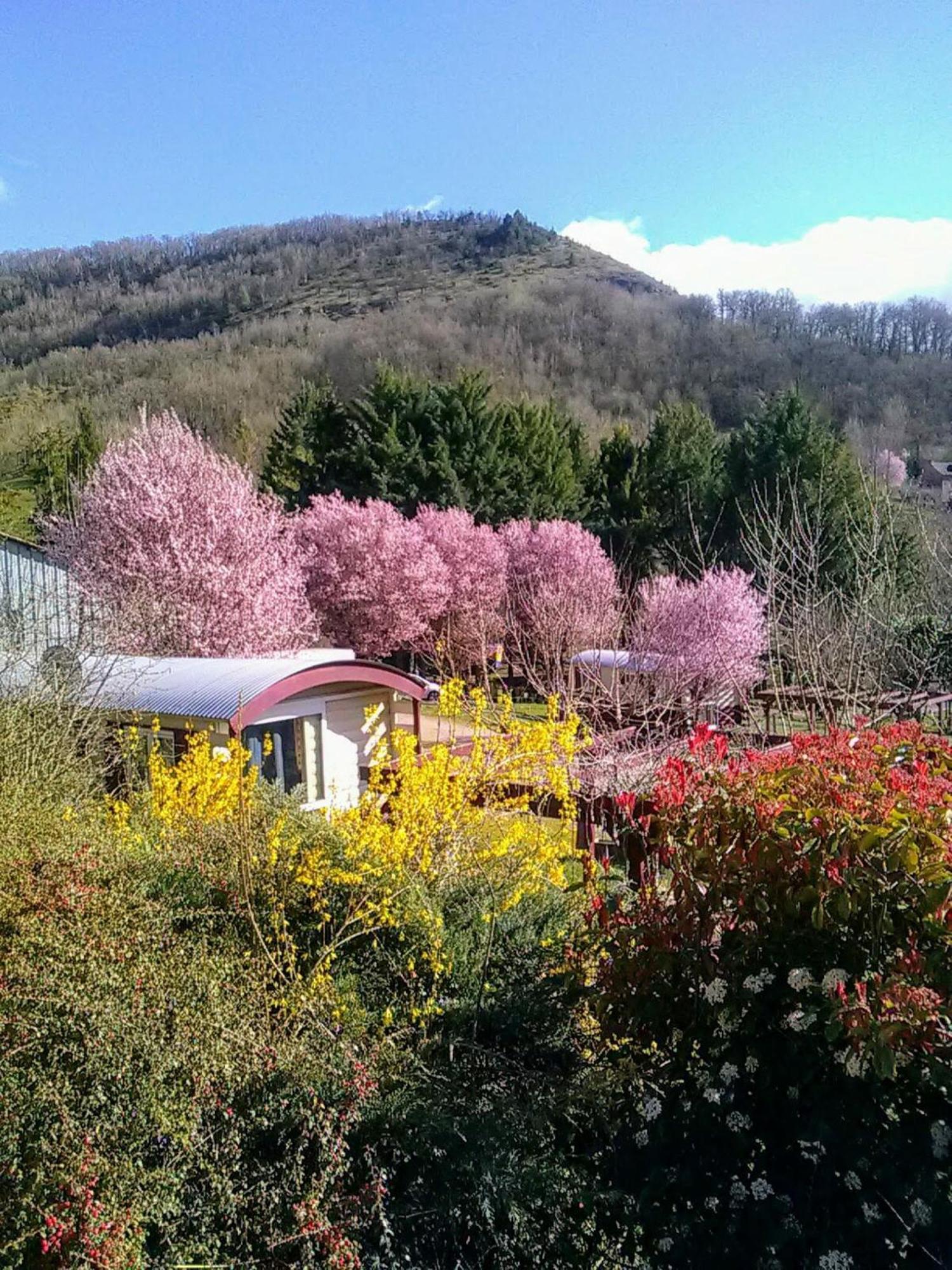 La Fregiere Chalets Clairvaux-d'Aveyron Eksteriør bilde